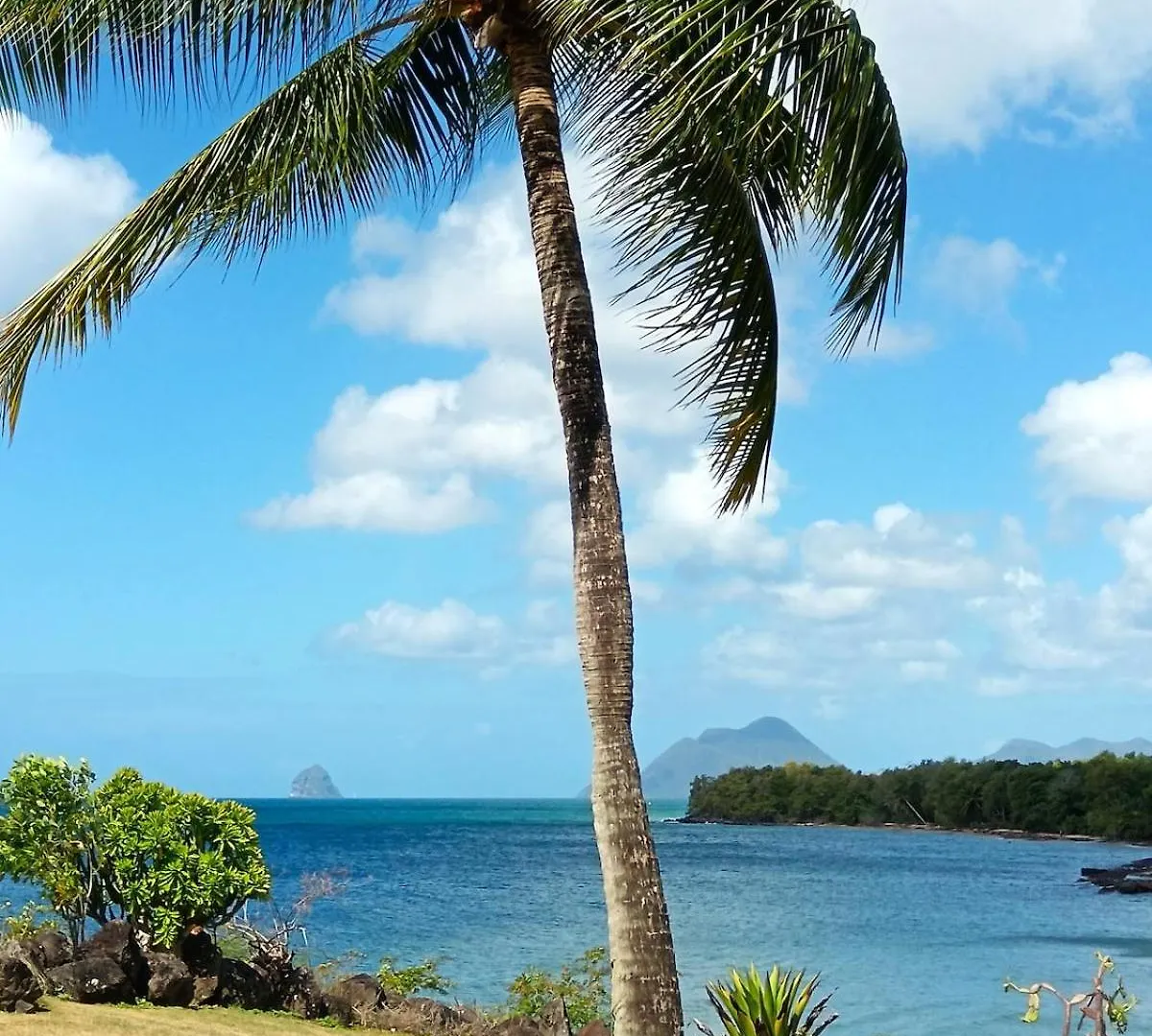 Le Trinidad Coco Village Vacances - Superbe Vue Mer -Grand Studio Sainte-Luce Martinique